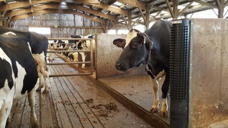 Лакталюкс. Чесалка Dairy Scratchy для тварин, Вioret Аgri