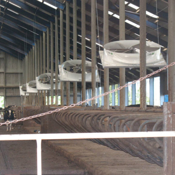 Лакталюкс. Системи вентиляції VES-Artex. Гумові матраци Bioret Agri